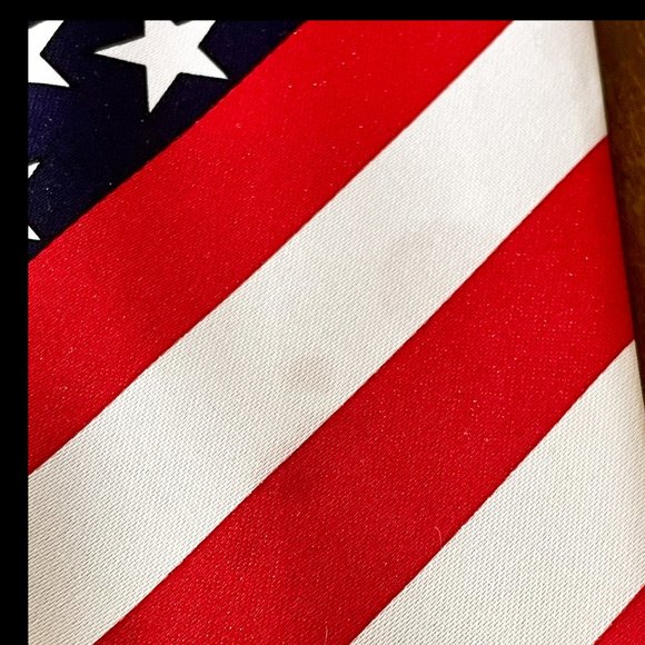 ⭐️HP⭐️VTG▪️RENE CHAGAL▪️Lot of 2 Handmade Patriotic American Flag Neckties - Picture 5 of 7